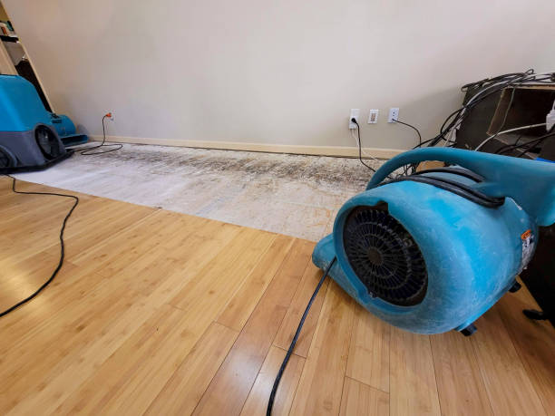 Professional Water Damage Repair technician working in Amlin, OH